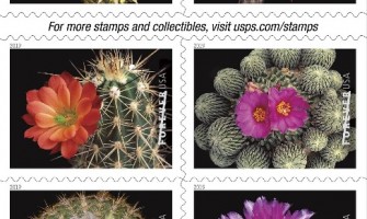 Forever Beautiful Cactus Flower Stamps from USPS