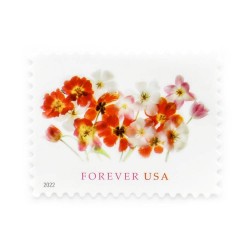 2022 US Forever First-Class Postage Tulips Stamps