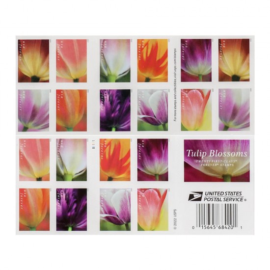 2023 US First-Class Forever Stamps - Tulip Blossoms booklet