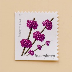 2019 US Winter Berries Forever Stamps