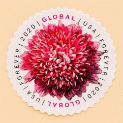 50 pcs -2020 US Global Chrysanthemum Forever Stamps