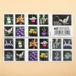 U.S. 2021 Wild Orchids Framed Forever Stamps