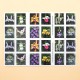 U.S. 2021 Wild Orchids Framed Forever Stamps