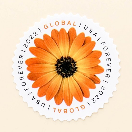 USPS African Daisy Flower Global US First Class International Current Rate  Forever Postage Stamps Wedding (20 Stamps) (580100)