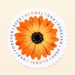 50 pcs -2022 US Global African Daisy Forever Stamps