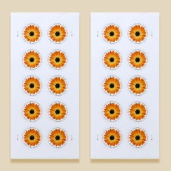 100 pcs -2022 US Global African Daisy Forever Stamps