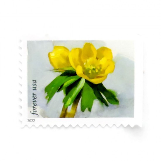 2022 First-Class Forever Stamp - Snowy Beauty: Winter Aconite