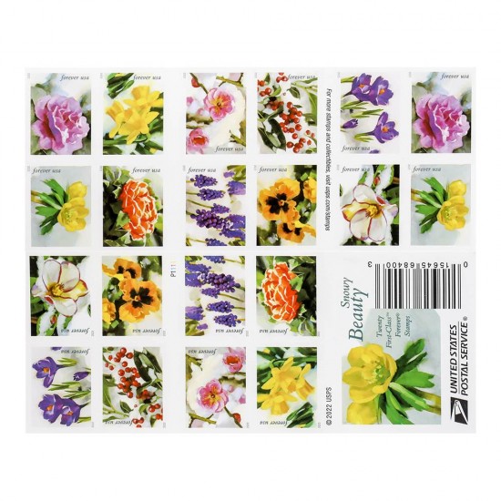 2022 First-Class Forever Stamp - Snowy Beauty: Winter Aconite